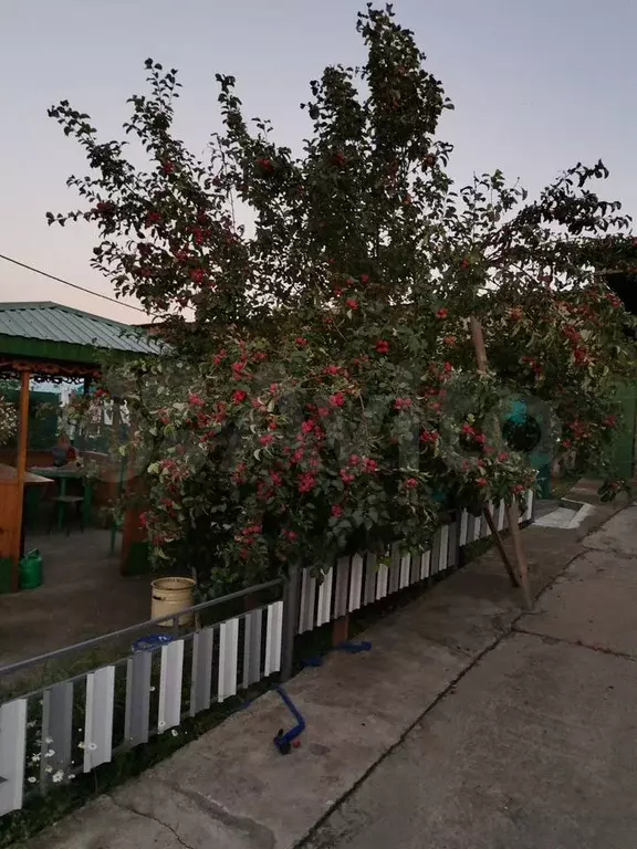 Дом 105 м на участке 13,5 сот. - Фото 0