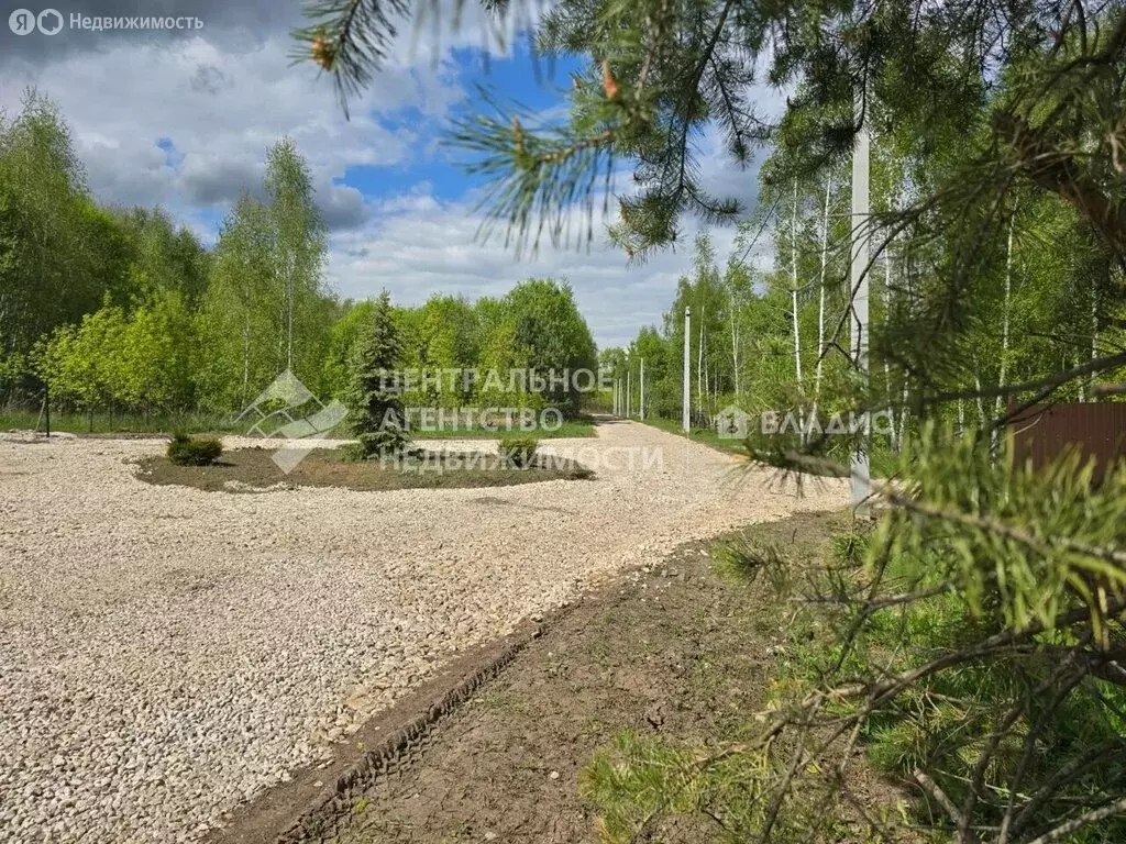 Участок в Рязанский район, Вышгородское сельское поселение, село ... - Фото 1