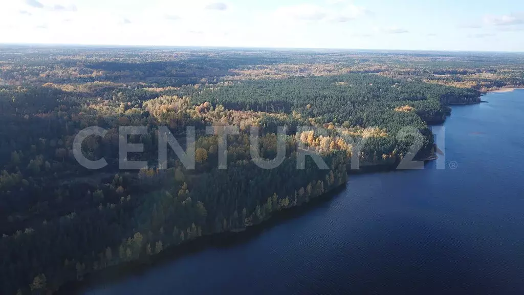 Участок в Приозерский район, Громовское сельское поселение, посёлок ... - Фото 2