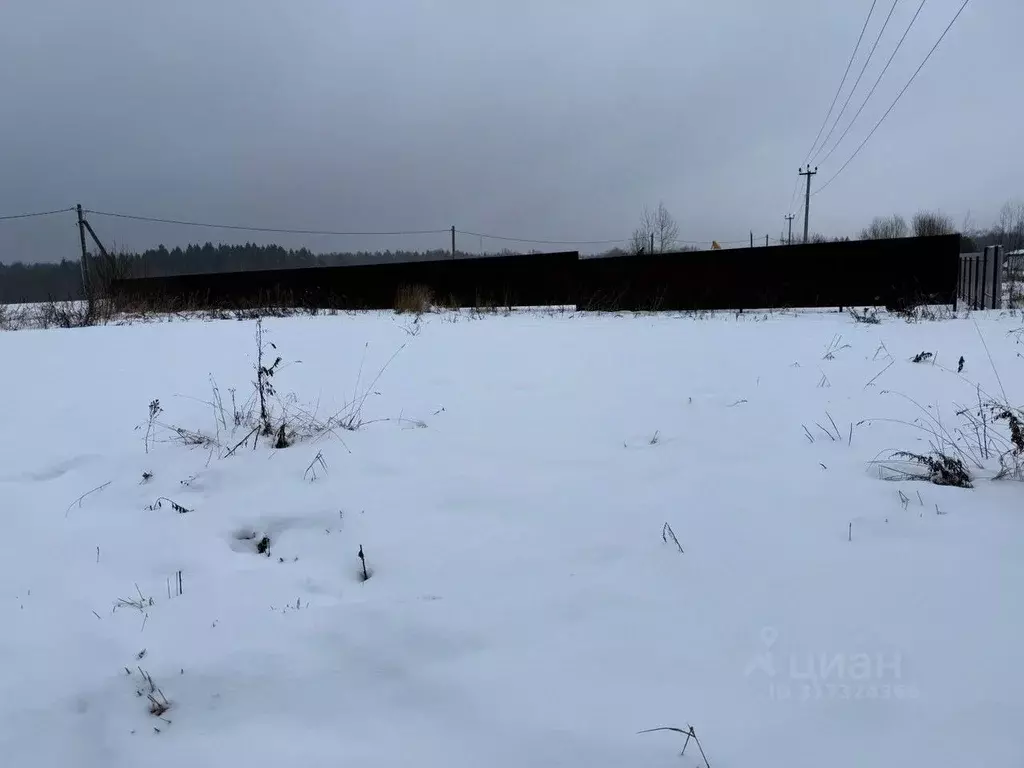 Участок в Московская область, Пушкинский городской округ, д. Никулино  ... - Фото 0