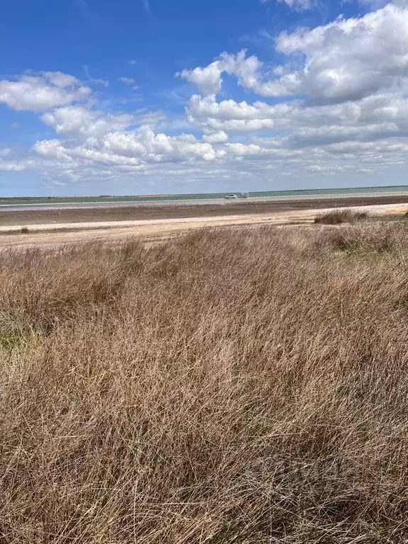 Участок в Крым, Черноморский район, с. Межводное ул. Пограничная (10.0 ... - Фото 1