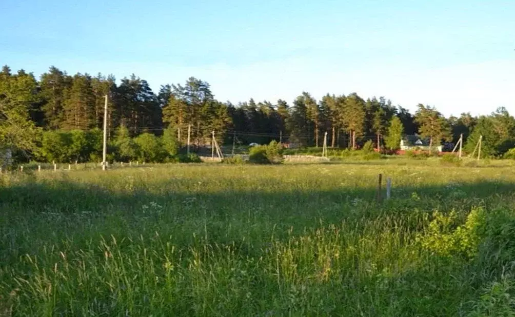 Участок в Ленинградская область, Выборгский район, Каменногорское ... - Фото 1