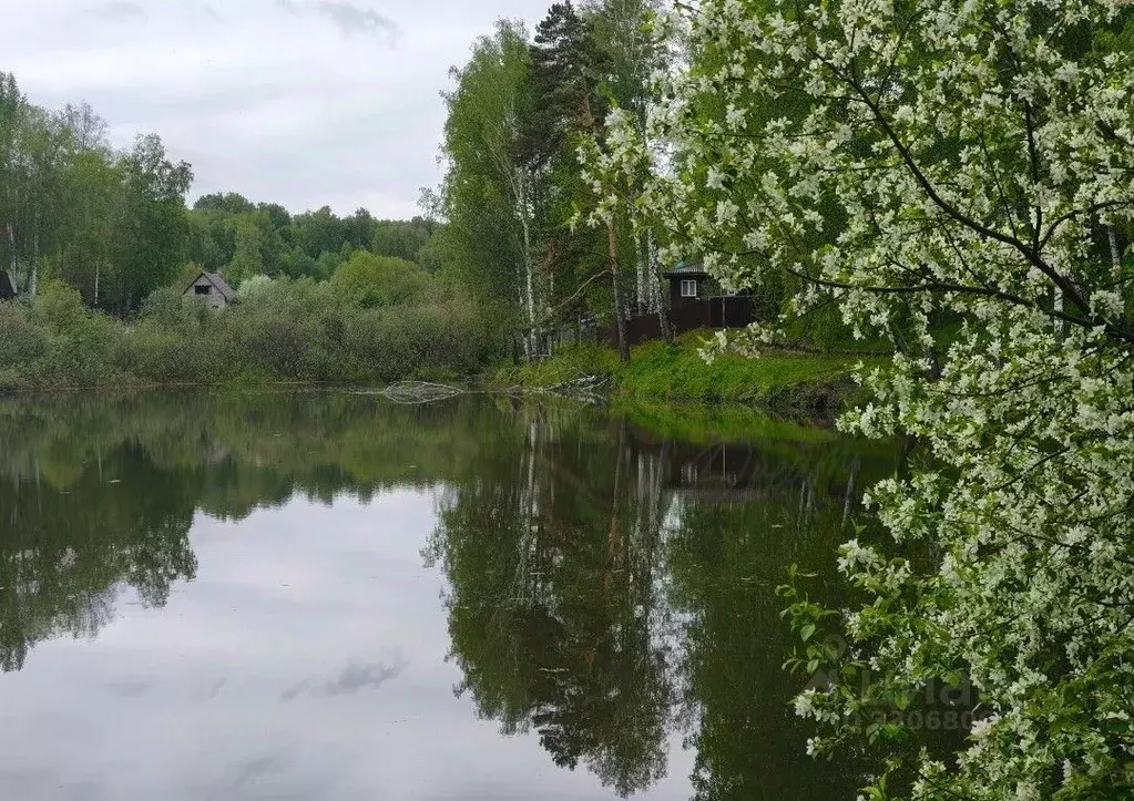 Участок в Новосибирская область, Новосибирский район, Раздольненский ... - Фото 2