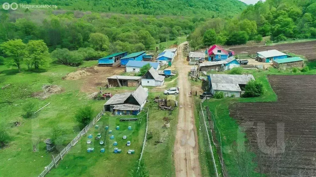 Дом в Приморский край, Анучинский муниципальный округ, усадьба ... - Фото 1