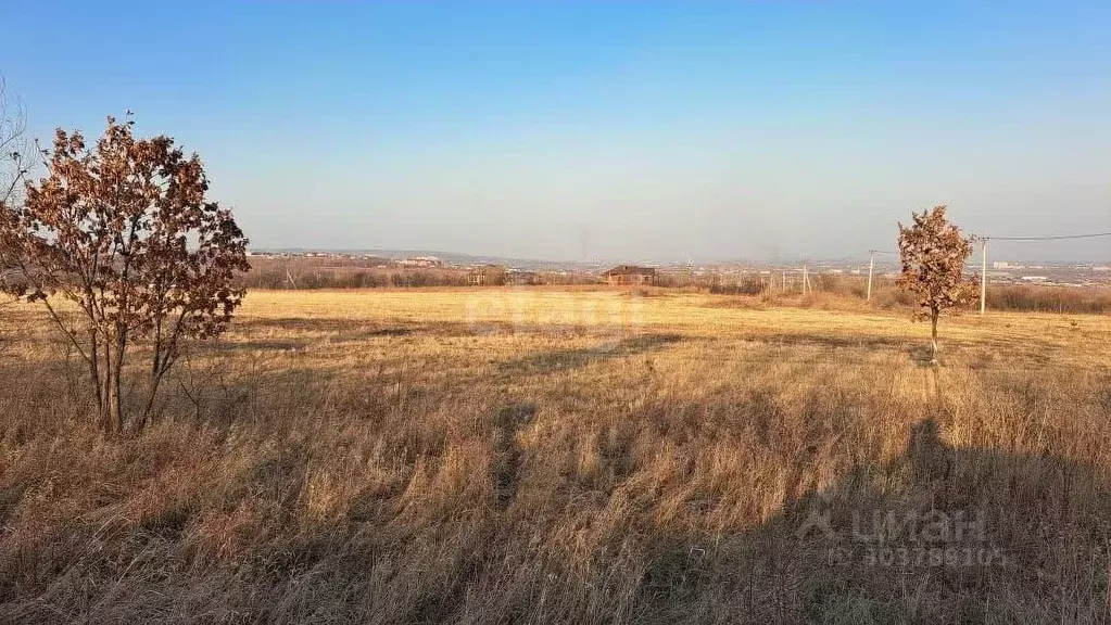 Участок в Амурская область, Благовещенский район, с. Чигири ул. ... - Фото 0