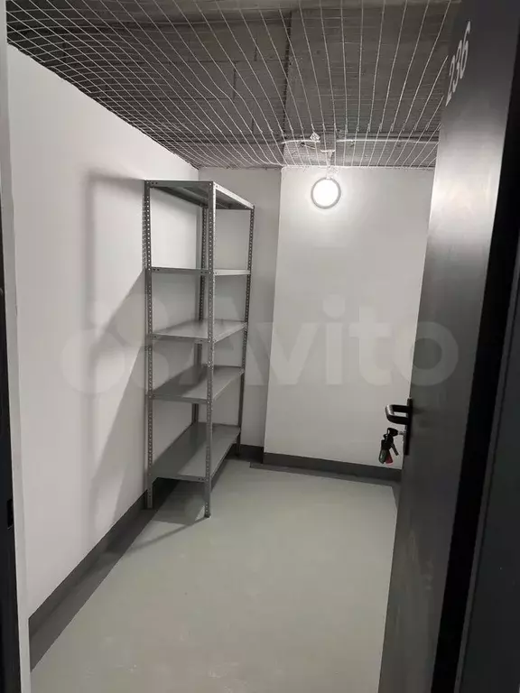 Свободного назначения, 5 м - Фото 1