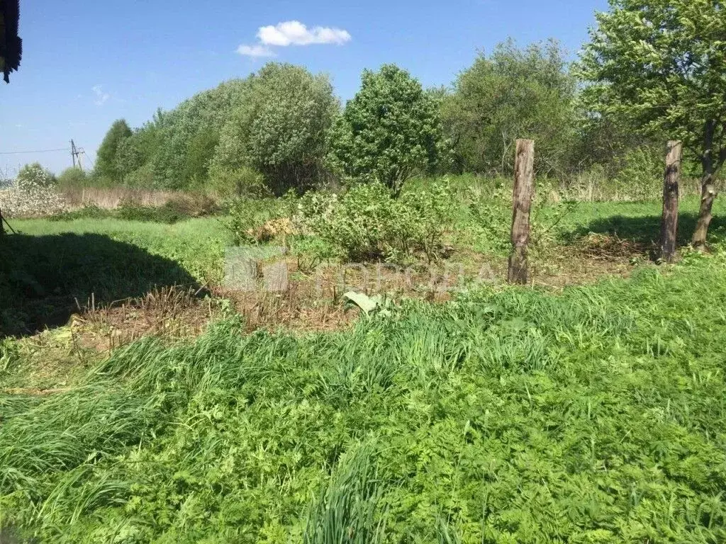 Дом в Московская область, Талдомский городской округ, д. Измайлово 11 ... - Фото 0