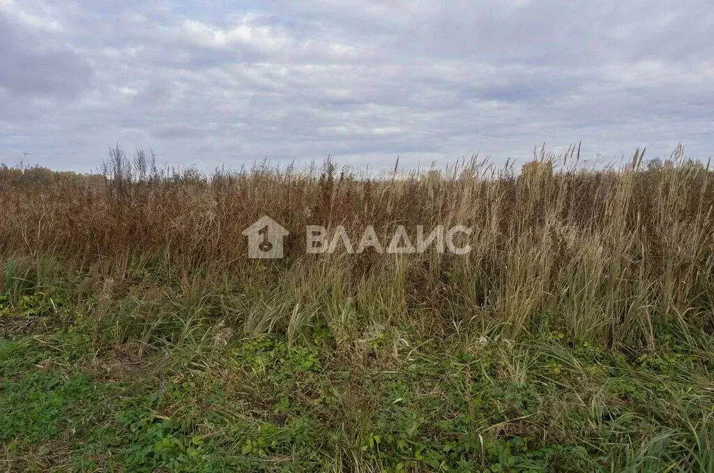 Участок в Ленинградская область, Ломоносовский район, Русско-Высоцкое ... - Фото 2
