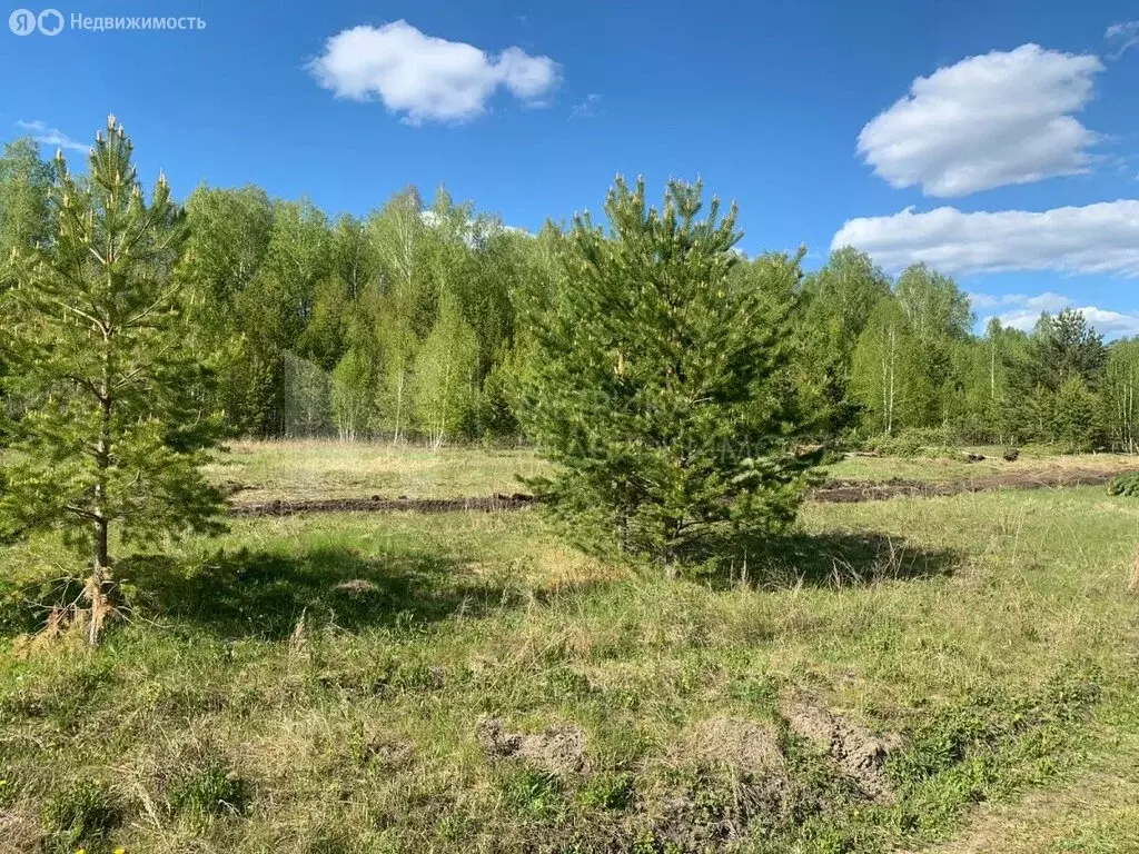 Участок в Нижнетавдинский район, село Тюнево (7 м) - Фото 0