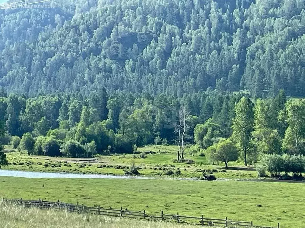 Участок в Республика Алтай, село Онгудай (15 м) - Фото 1