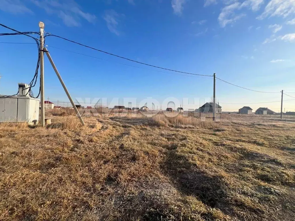 Участок в Новосибирская область, Новосибирский район, Толмачевский ... - Фото 2