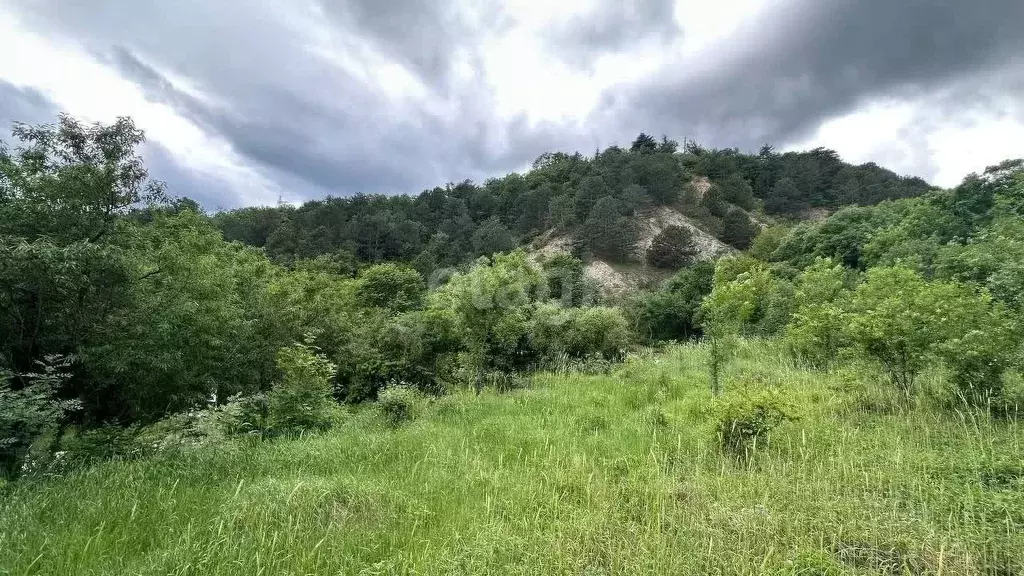Участок в Крым, Алушта муниципальный округ, с. Запрудное  (40.0 сот.) - Фото 0