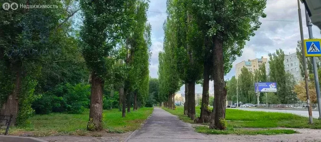 3-комнатная квартира: Воронеж, улица Хользунова, 98 (74.2 м) - Фото 0