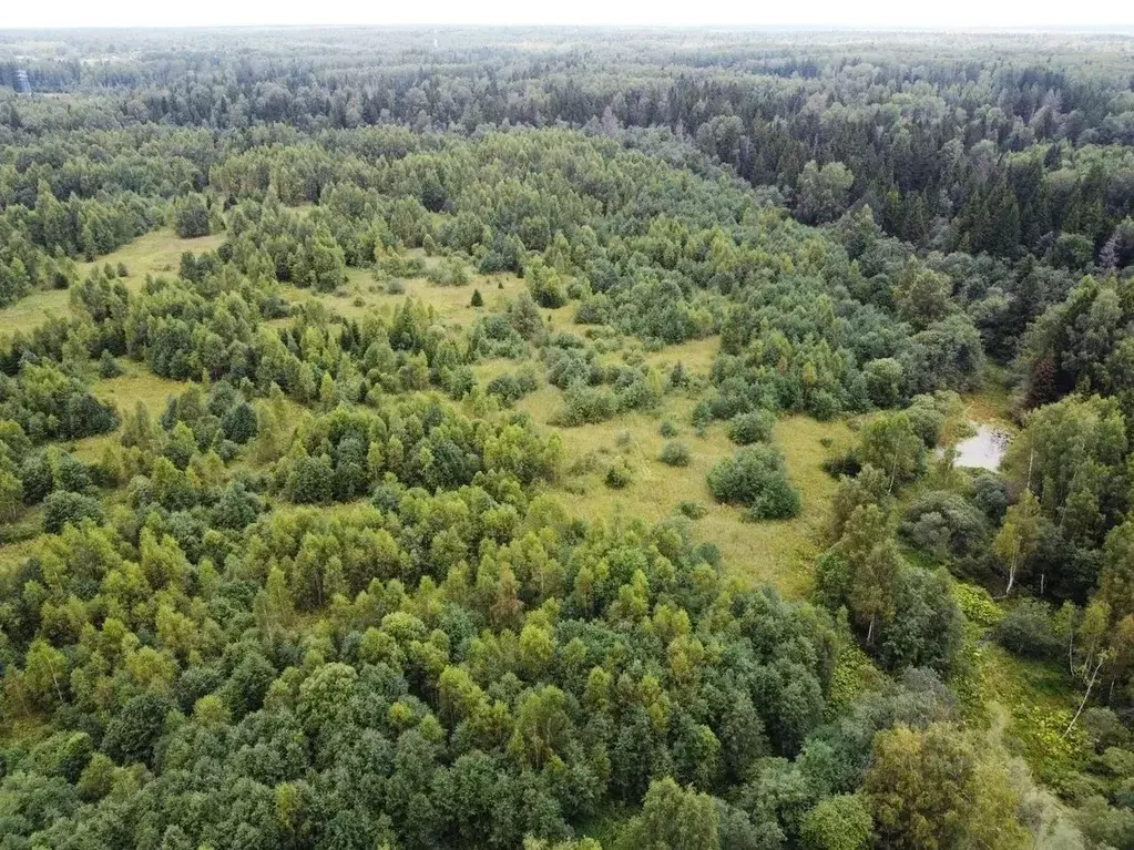 Участок в Московская область, Волоколамский городской округ, д. ... - Фото 0