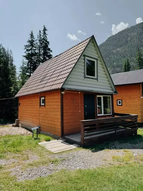 Дом в Алтай, Улаганский район Р-256 Чуйский тракт, 795-й км (46 м) - Фото 1
