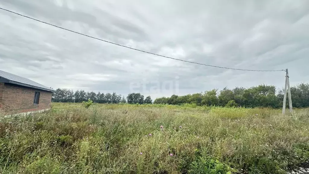 Участок в Башкортостан, Аургазинский район, с. Толбазы ул. Рябиновая ... - Фото 1