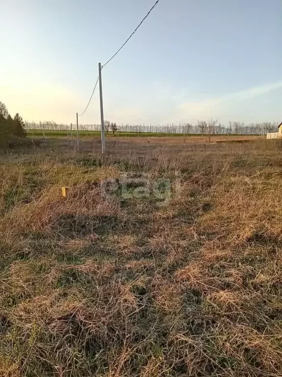 Участок в Белгородская область, Бирюч Красногвардейский район, ул. 8 ... - Фото 0