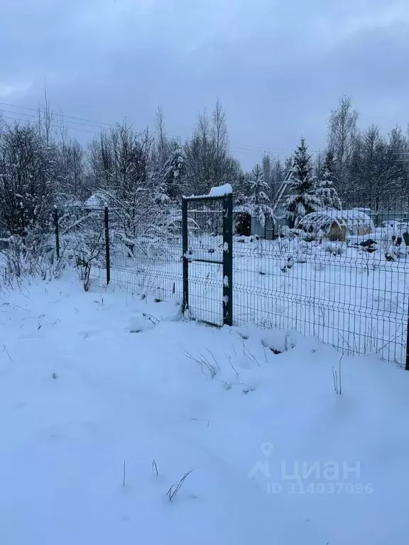 Участок в Ленинградская область, Тосненский район, Трубникоборское ... - Фото 0