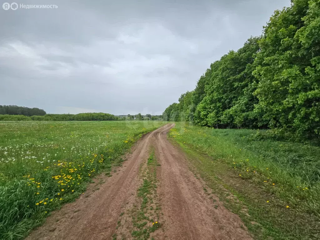 Участок в Тукаевский район, село Биклянь (215.15 м) - Фото 1