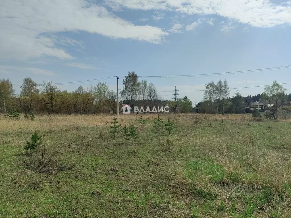 Участок в Московская область, Ногинск Богородский городской округ,  ... - Фото 1