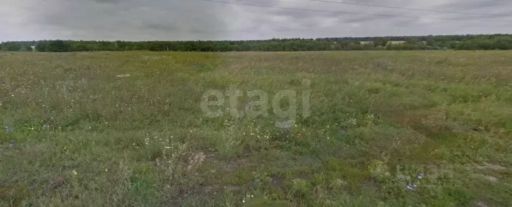 Участок в Воронежская область, с. Новая Усмань, Радуга мкр ул. ... - Фото 1