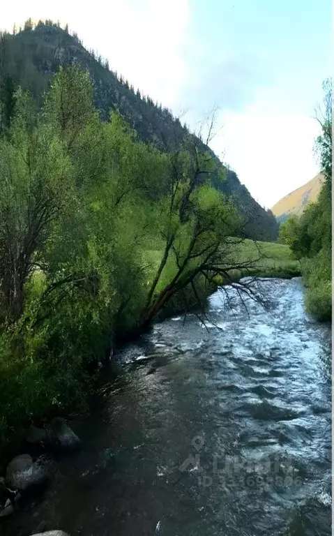Участок в Алтай, Шебалинский район, с. Дъектиек  (4158.0 сот.) - Фото 2
