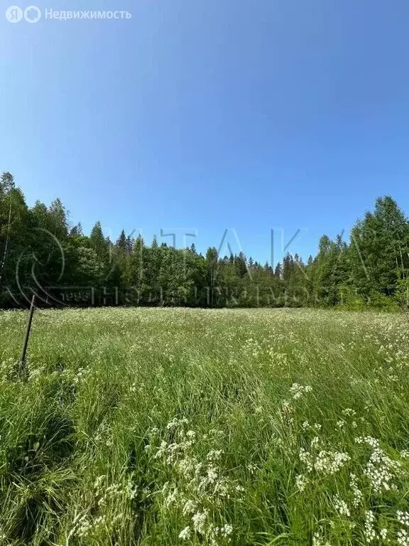 Участок в Выборгский район, Селезнёвское сельское поселение, посёлок ... - Фото 0