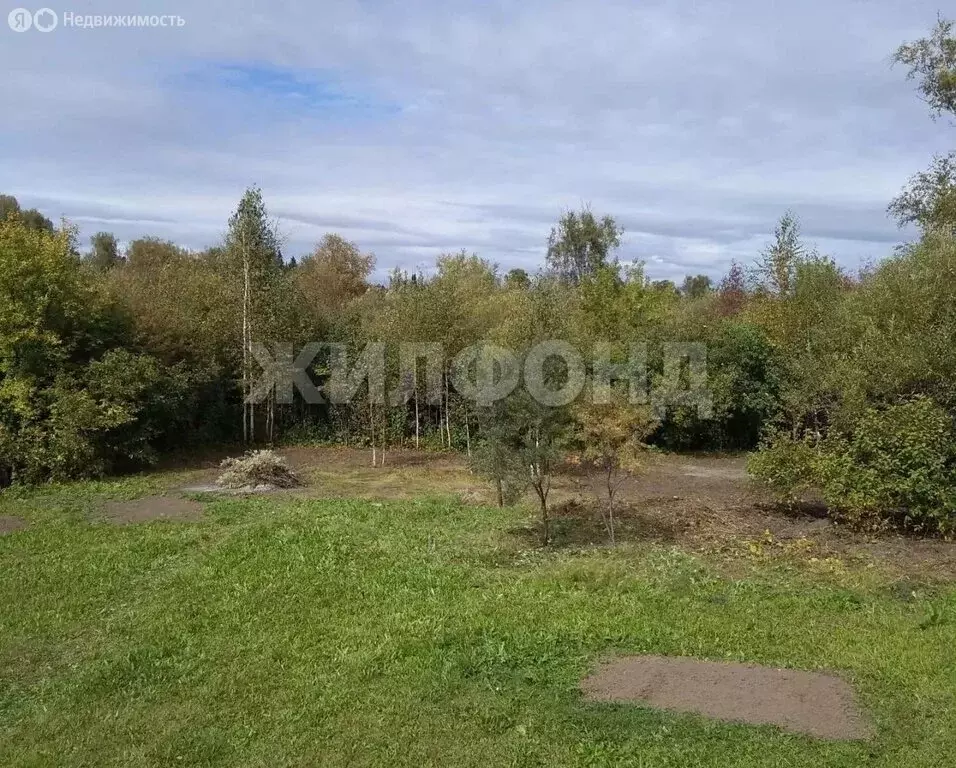 Участок в Мошковский район, садовое товарищество Кирпичник (9.45 м) - Фото 1