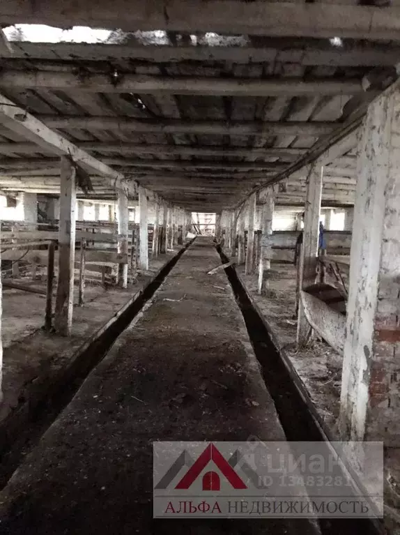 Производственное помещение в Орловская область, Мценский район, д. . - Фото 1