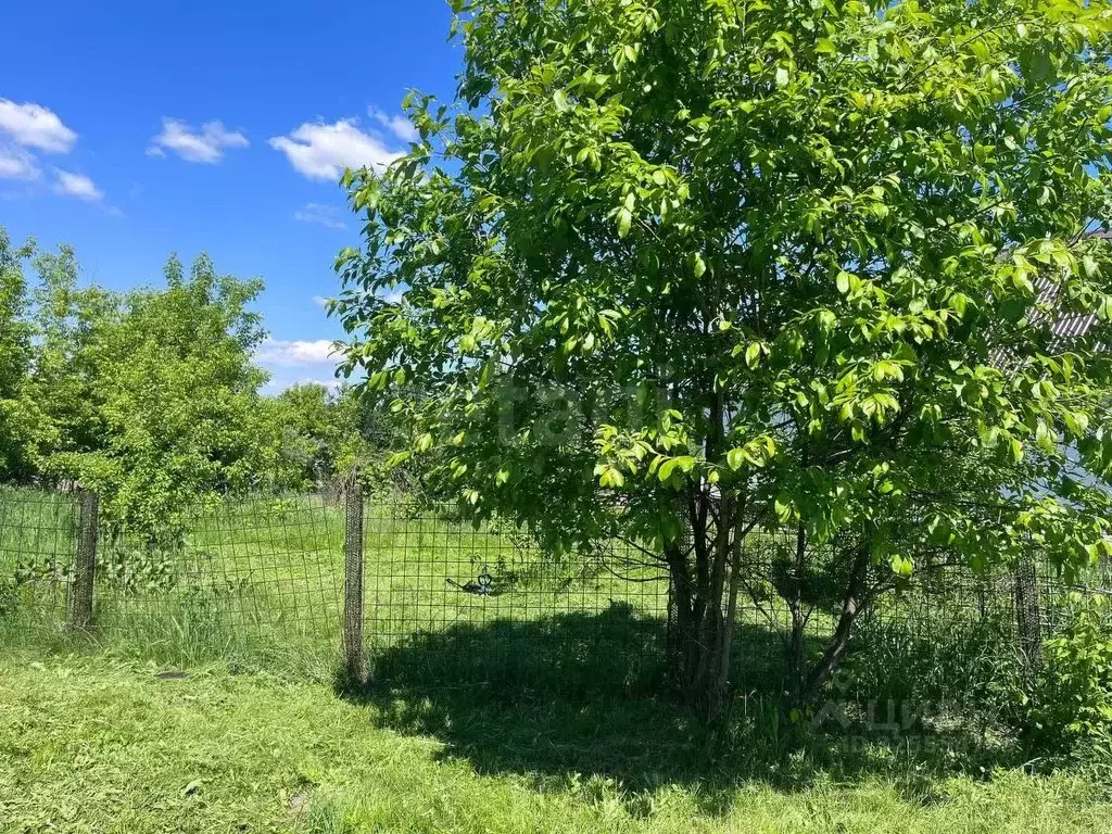 Участок в Алтайский край, Первомайский район, с. Баюновские ключи ... - Фото 2
