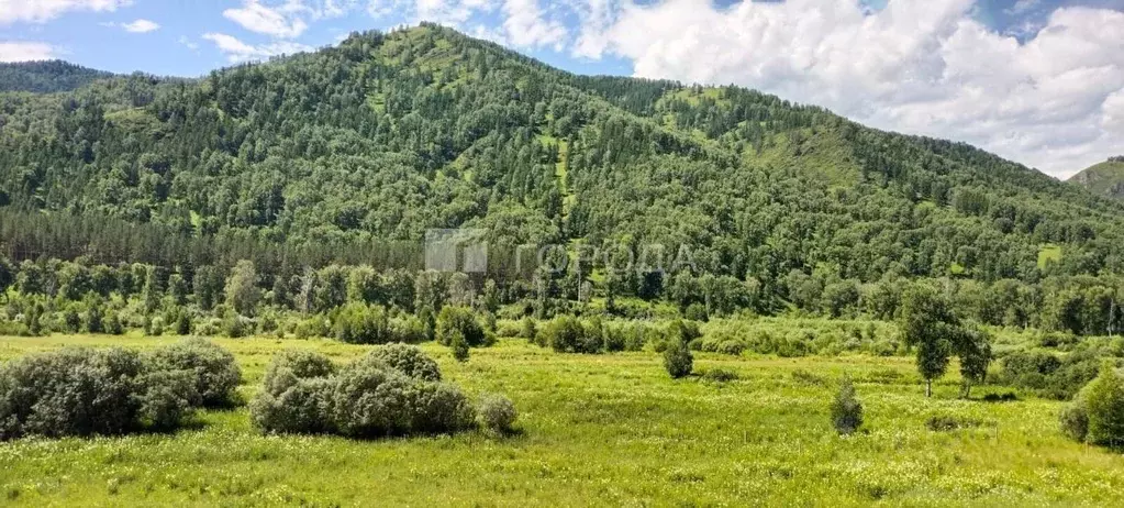 Участок в Алтай, Шебалинский район, с. Шебалино ул. Радуги (11.56 ... - Фото 0