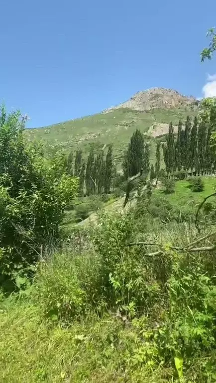 Участок в Кабардино-Балкария, Черекский район, с. Верхняя Балкария  ... - Фото 1