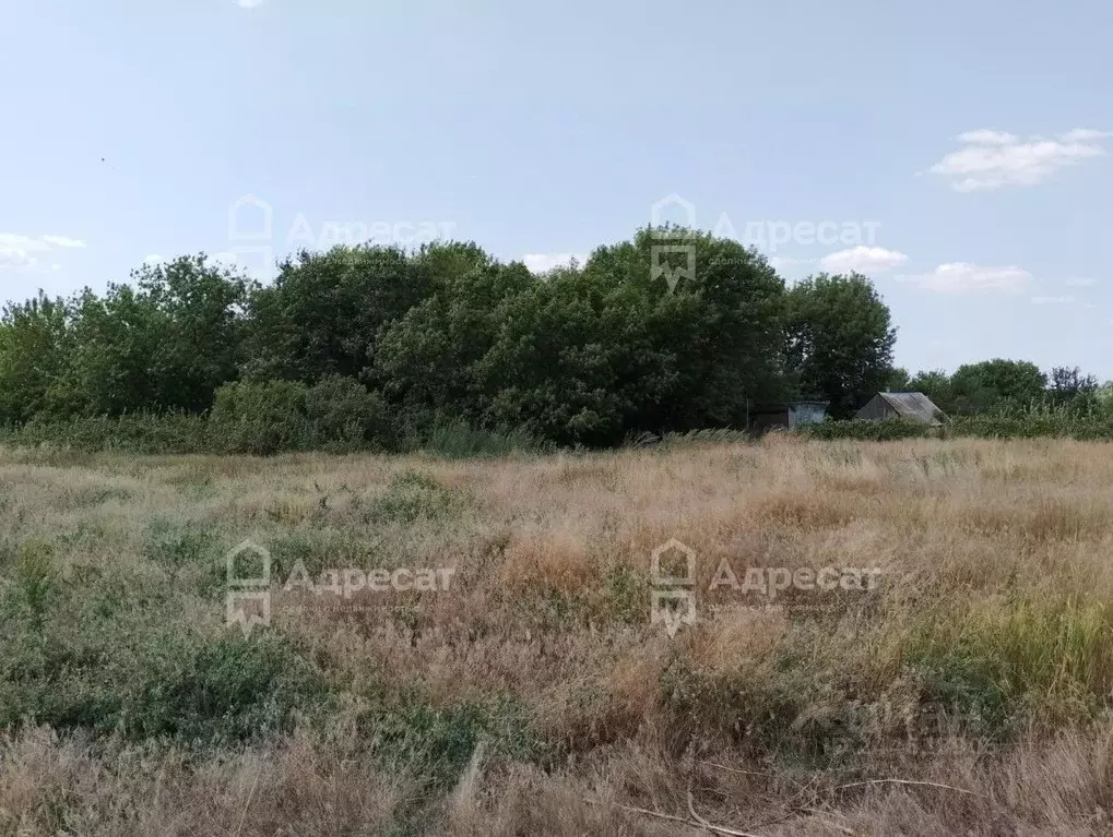 Участок в Волгоградская область, Городищенский район, Паньшинское ... - Фото 1