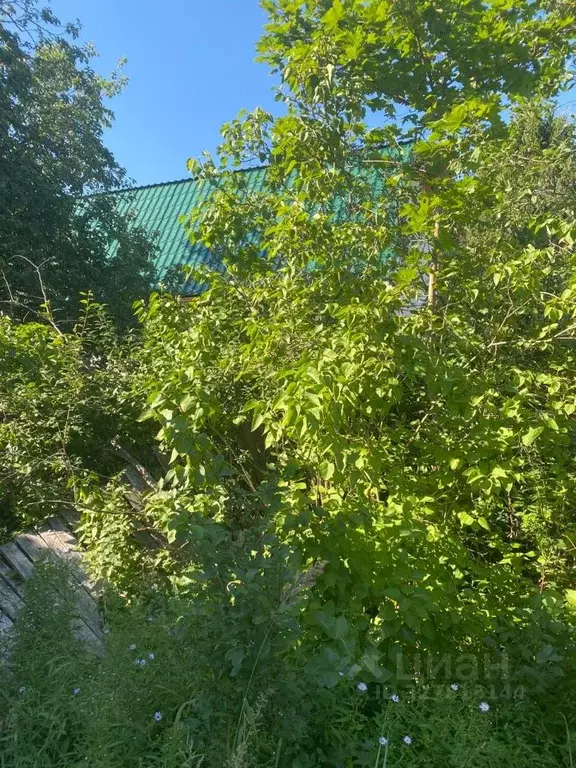 Дом в Московская область, Орехово-Зуевский городской округ, д. Новое ... - Фото 2