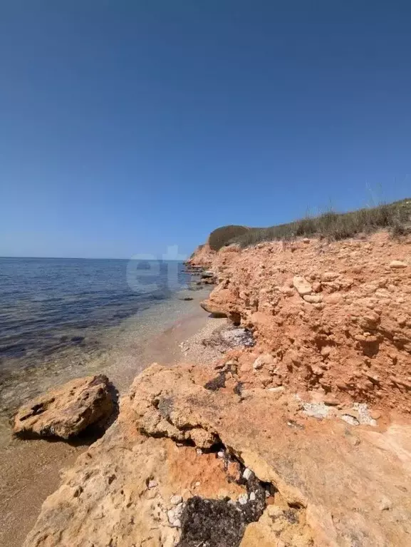 Участок в Крым, Черноморский район, с. Окуневка  (6.0 сот.) - Фото 1