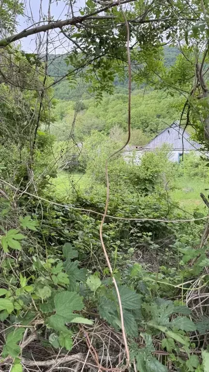 Участок в Краснодарский край, Геленджик городской округ, с. Адербиевка ... - Фото 1