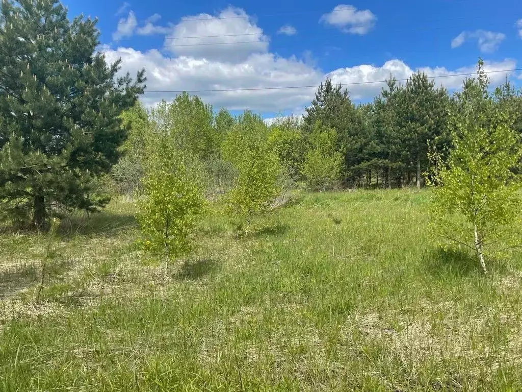 Участок в Московская область, Раменское ул. Сергия Радонежского (9.87 ... - Фото 1