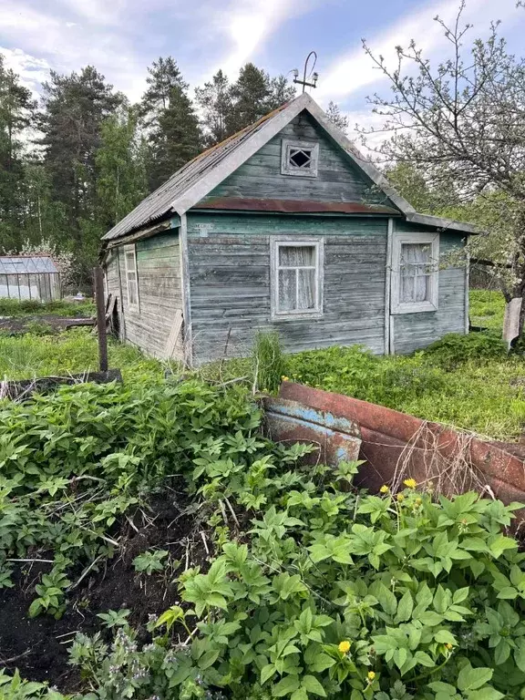 Дом в Новгородская область, Старорусский район, Новосельское с/пос, ... - Фото 1