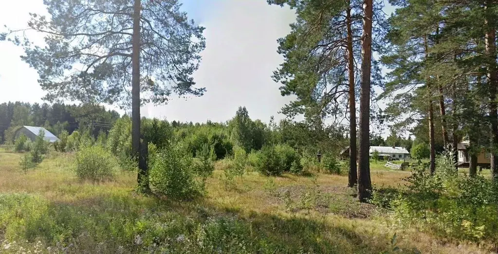 Участок в Архангельская область, Котласский муниципальный округ, пос. ... - Фото 1