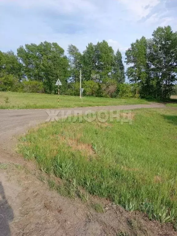 Участок в Новосибирская область, Ордынский район, с. Вагайцево  (100.0 ... - Фото 2