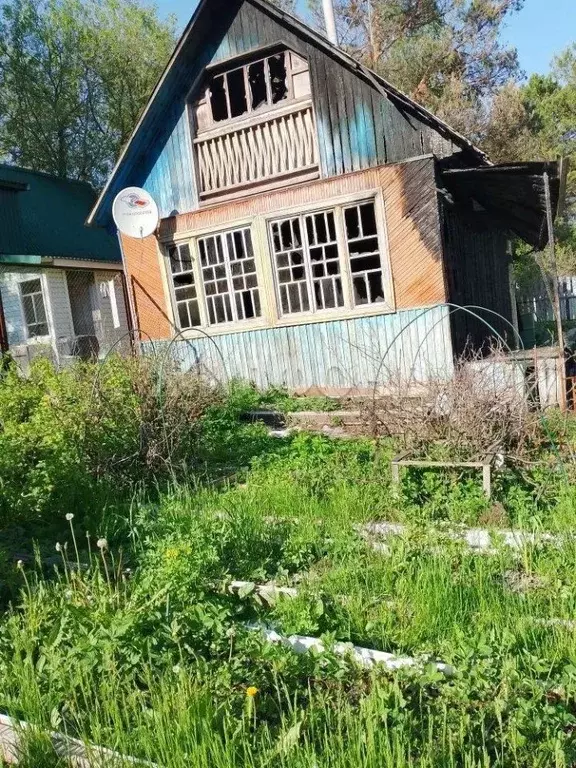 Дом в Новосибирская область, Тогучинский район, Вишня садовое ... - Фото 2