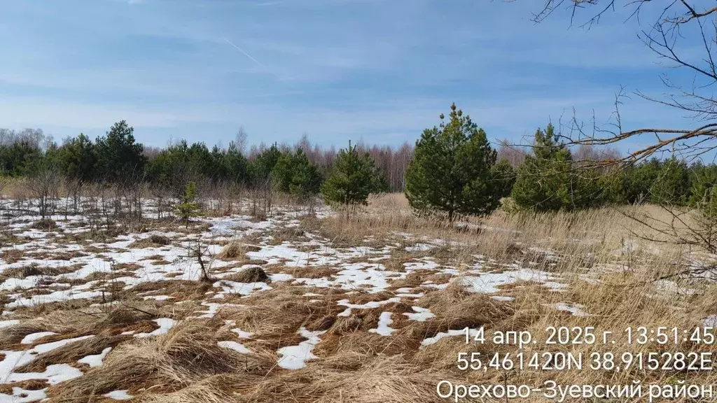 Участок в Московская область, Орехово-Зуевский городской округ, д. ... - Фото 1