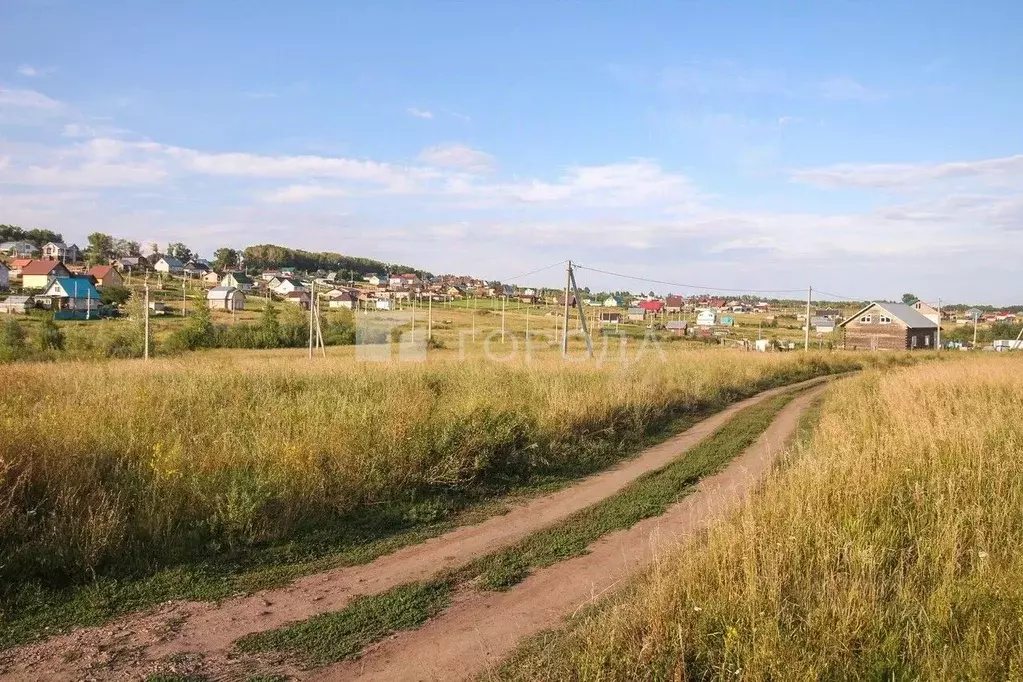 Участок в Алтайский край, Барнаул городской округ, пос. Центральный ... - Фото 1