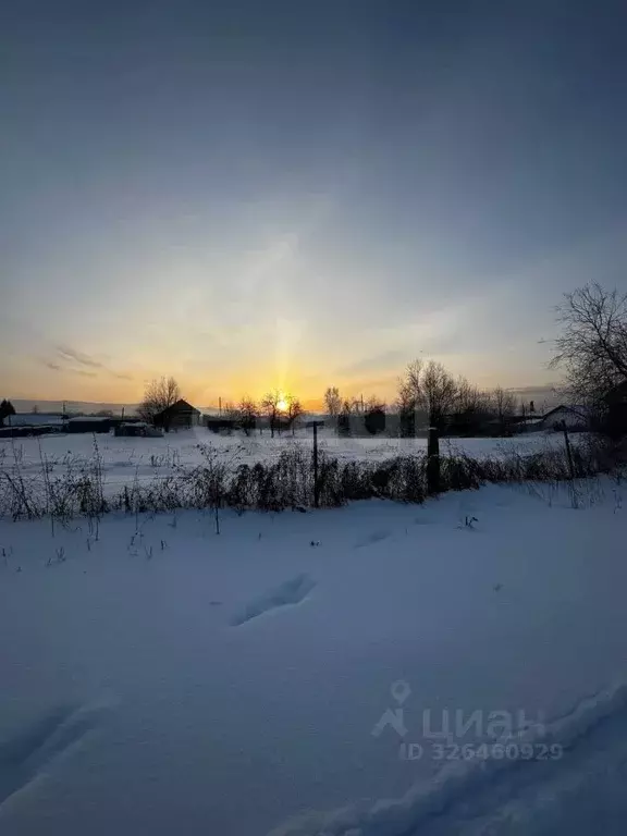 Участок в Алтай, Майминский район, с. Подгорное Центральная ул. (8.0 ... - Фото 1