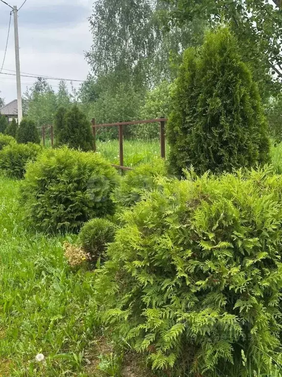 Участок в Москва Шишкино Парк кп, 104 (7.95 сот.) - Фото 1