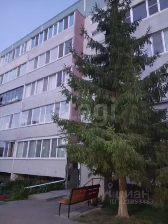 3-к кв. Ульяновская область, Новоульяновск Октябрьская ул., 3 (56.0 м) - Фото 2