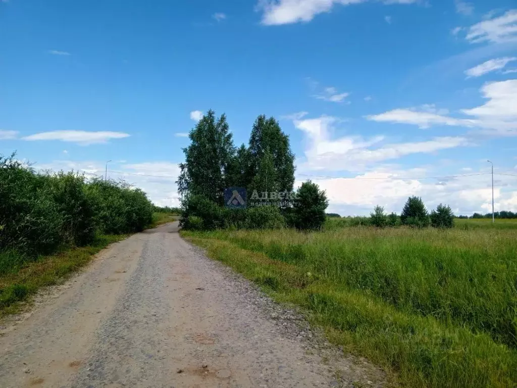 Участок в Тюменская область, Тюменский район, с. Перевалово ул. ... - Фото 2