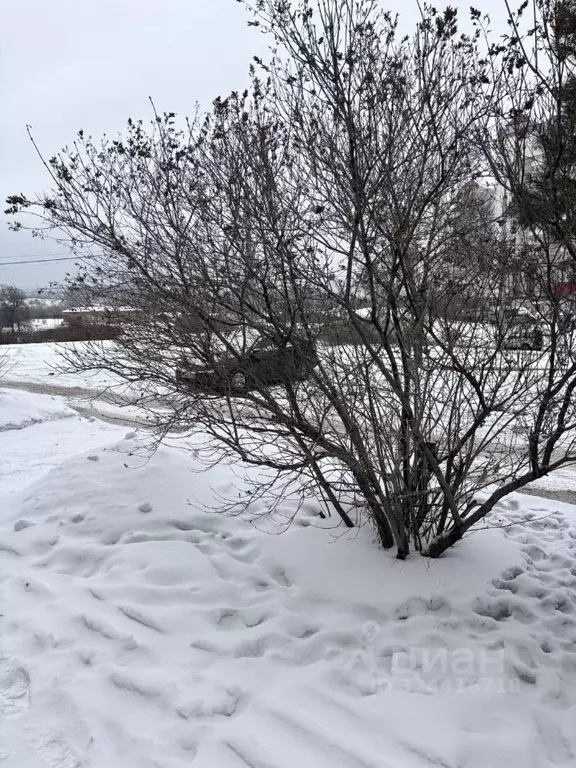 Офис в Кемеровская область, Новокузнецк ул. Павловского, 23 (158 м) - Фото 2