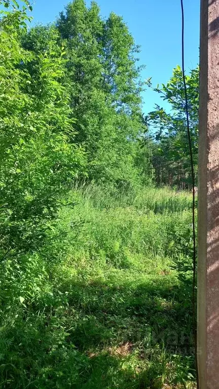 Участок в Ленинградская область, Приозерский район, Ларионовское ... - Фото 1