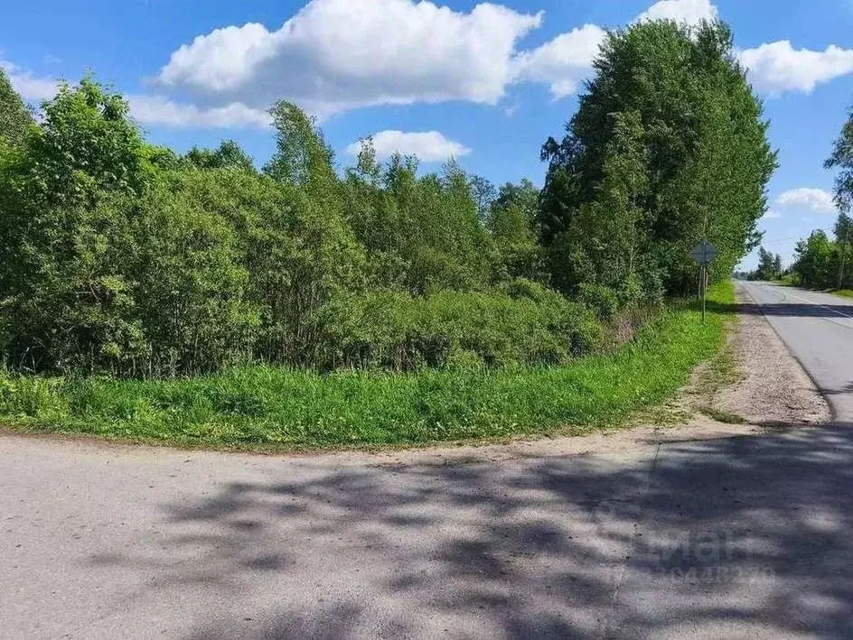 Участок в Новгородская область, Новгородский район, Савинское с/пос, ... - Фото 1